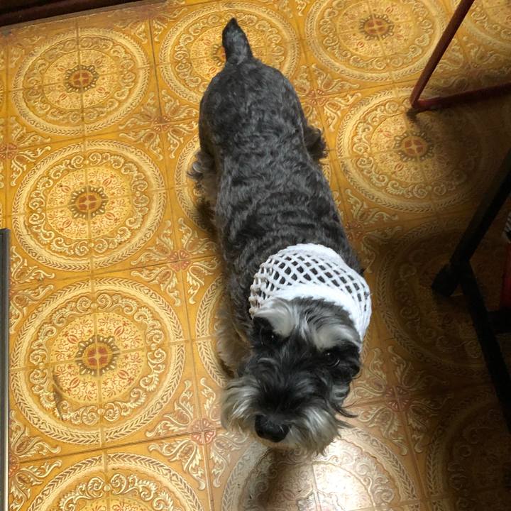 9c58f7c9 7148 4d8f 8138 4a965f2f3acd 1665145081419