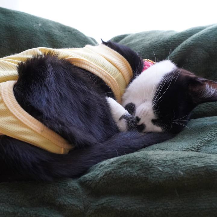 9c58fbc3 9fb8 489a 96bd 9de975e4b8aa 1578578877863