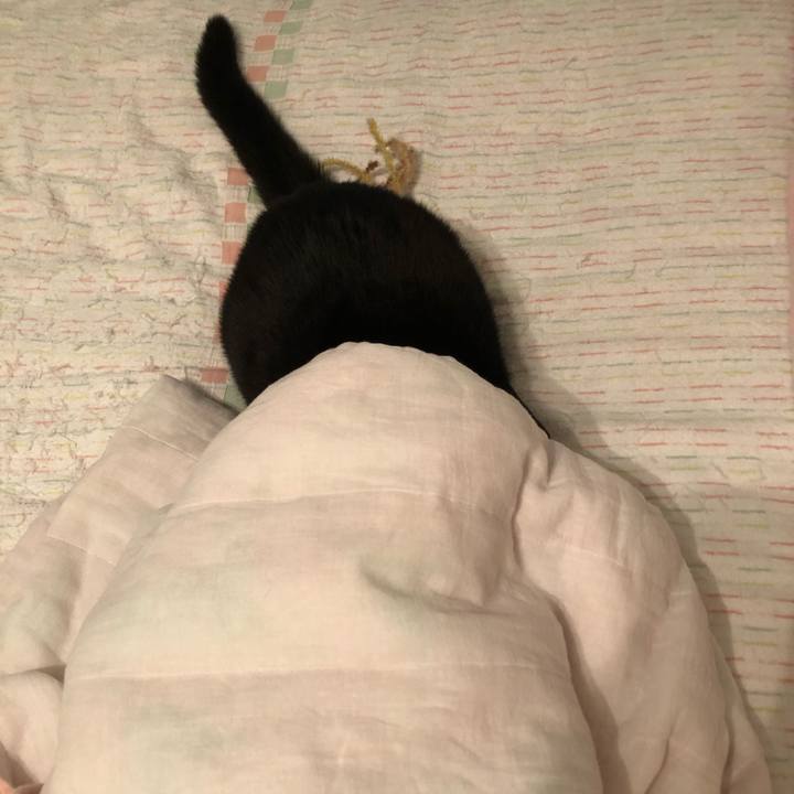 9c59716d 2235 480e 8561 405e4f323b98 1593034222590