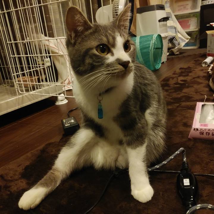 9c59ac06 1ab4 442e 8054 9cf87f48855d 1578996937099