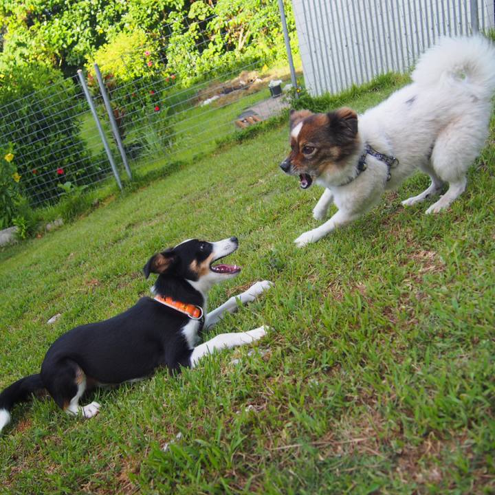 9c59cdb3 1dcc 4dcf 84e4 784b5b663ccc 1564831844853