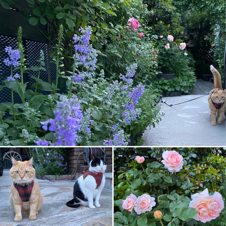 9c5a0d5b 1593 4f5f 95e3 cb3be0ab5ddb 1684231402440