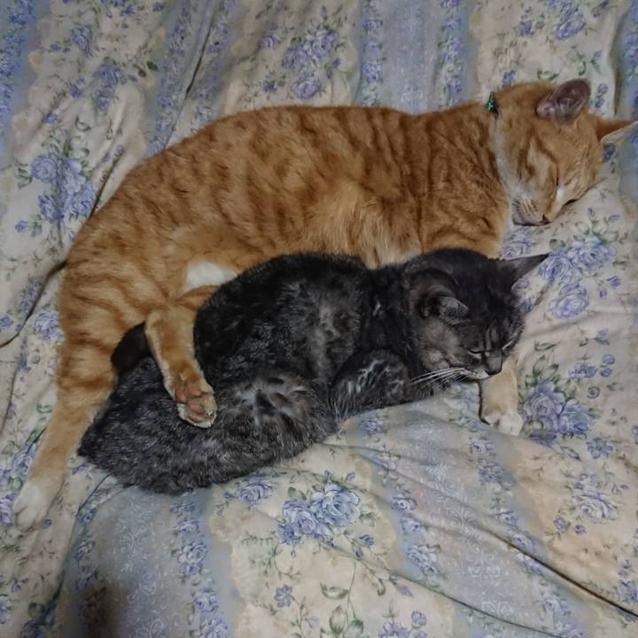 9c5a0f3e 3774 4352 9dda 3367daa6c34d 1582288711957