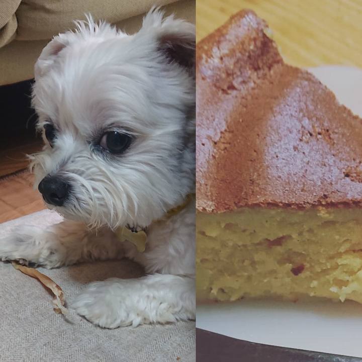 9c5a289c a4d5 4bca a95c 2297ffdf60aa 1614496476158