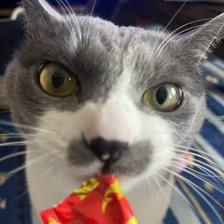 9c5a2cf2 7945 4522 a201 f70666d46123 1679296099574