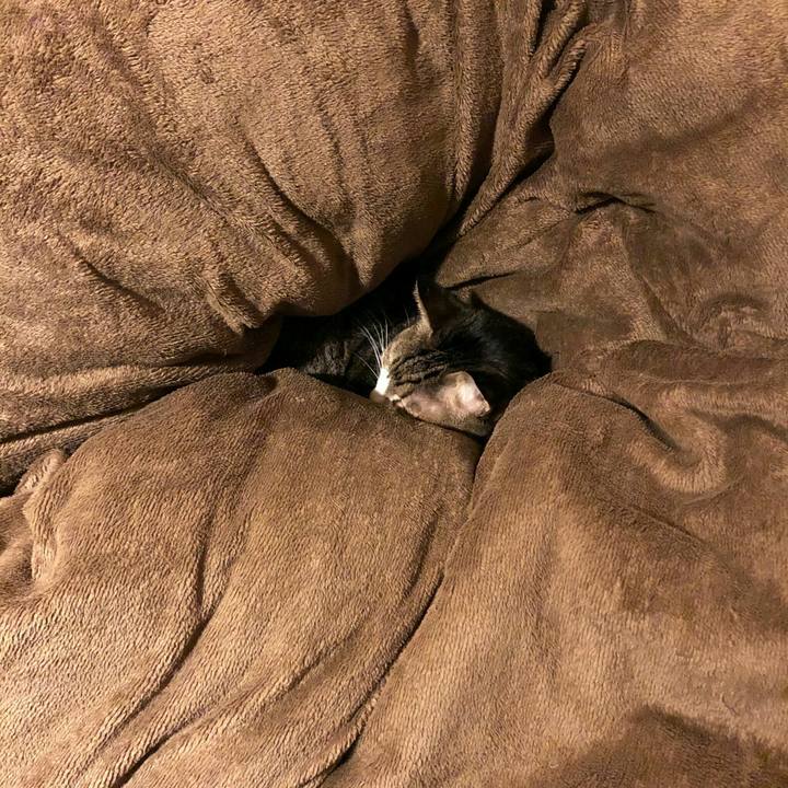 9c5a40d7 5a44 44d2 9dc1 0483794b46b3 1612143030236