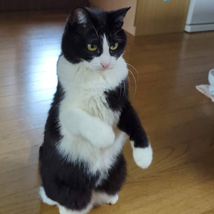 9c5a43e9 987f 4674 8043 554bc55be6c4 1771326131840