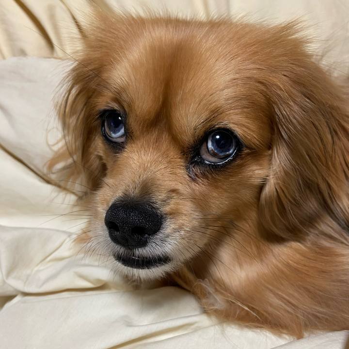 9c5a69b5 e315 4557 939e b45a1457f426 1586816825764