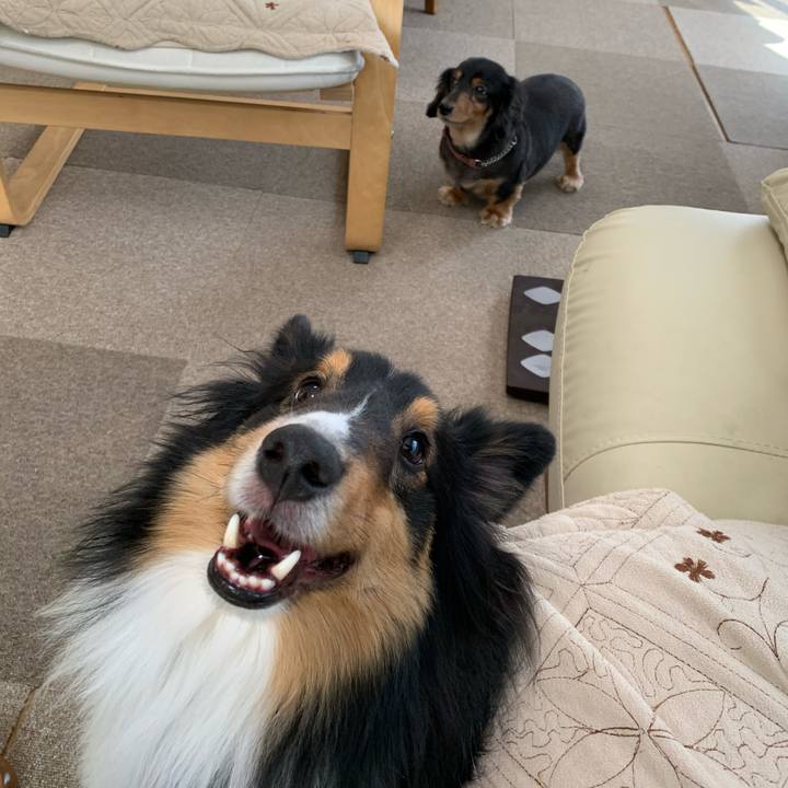 9c5a78a5 c60b 439a 92ac ef20b60d7bde 1585087194378