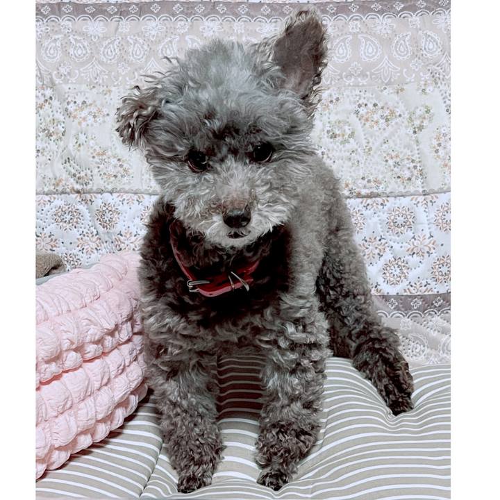 9c5a8206 02a4 44d7 8662 740f9fe2821c 1719054520980