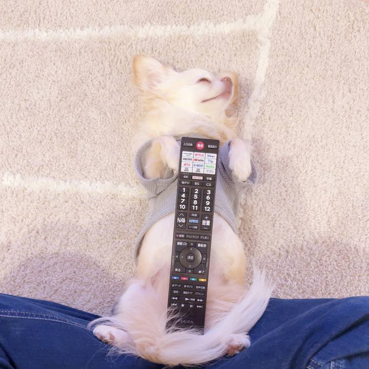 9c5a8940 3170 4c98 8a70 93482344cdd3 1748084035811