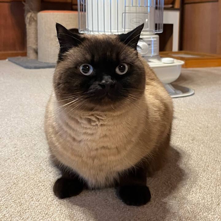 9c5ab157 506c 4f48 a6eb 602cbb47bc5d 1679816933684