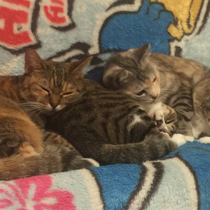 9c5ac91b c353 49da a3c2 2fb8d8490cf7 1571914307204