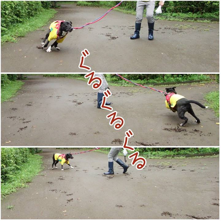 9c5aca9f 59db 47fc 8b5e 8b865563379b 1628898762236