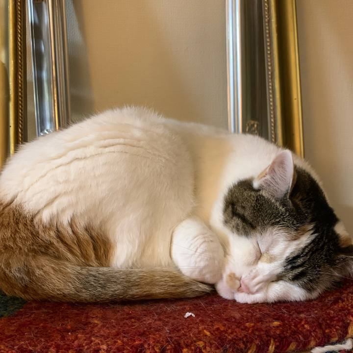 9c5afd3e 079a 4ad1 980c 62c18924e64c 1683118404426