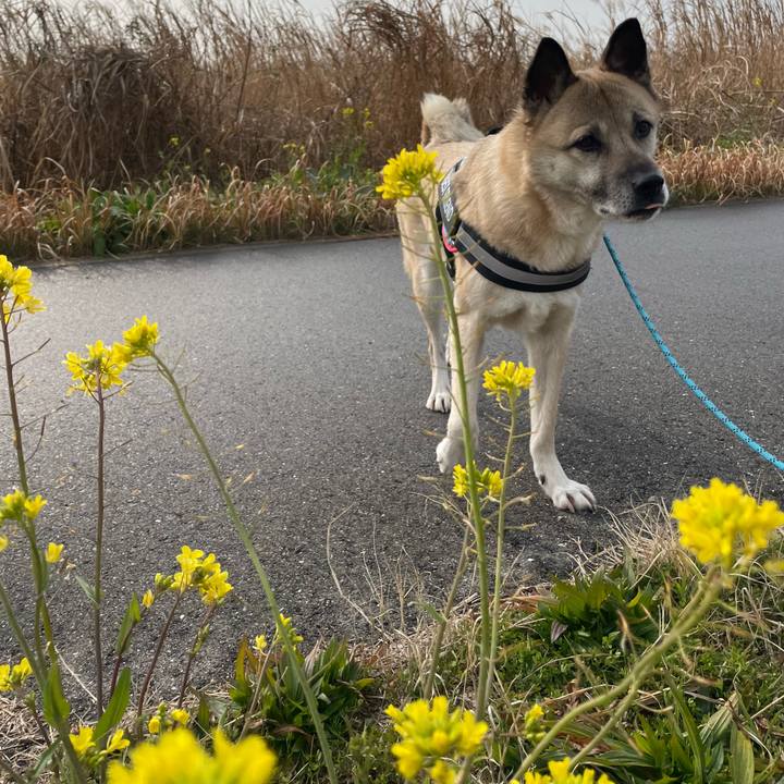 9c5b14ce d344 4cf7 ac24 5291e747494b 1707642250839