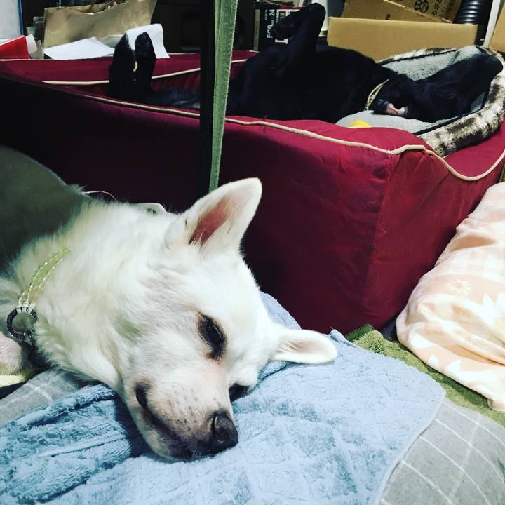 9c5b18a9 7cae 4d47 acdb 25685035d754 1538179082807