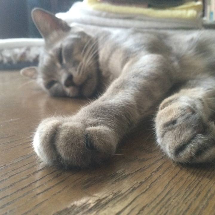 9c5b1b36 5941 4fba 8194 06499740c190 1532243133907