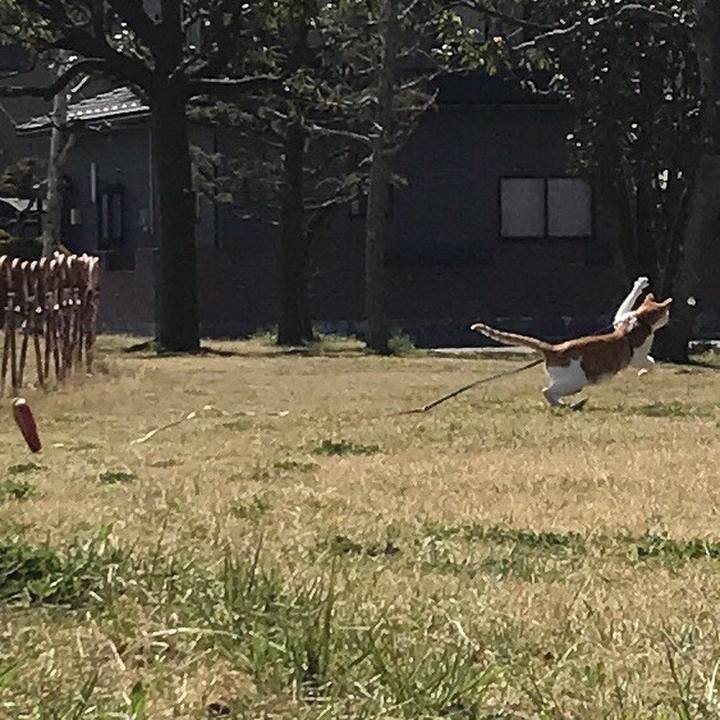 9c5b2208 469a 4664 b1d9 7d1e9bf5a327 1522466954262