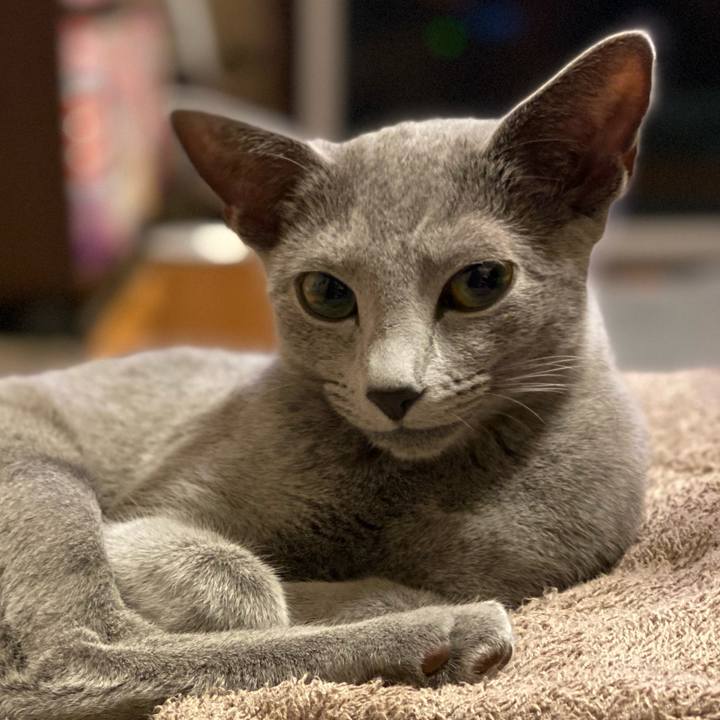 9c5b4131 483e 4db0 898e 60a1ffcaff31 1604234128155