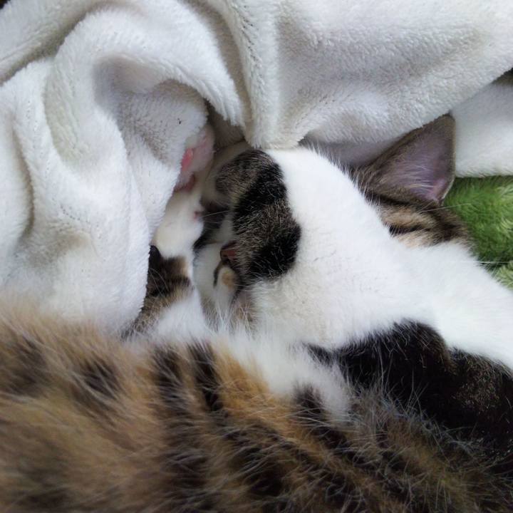 9c5b4f28 49c4 41ab 8ff4 572c501a9f65 1643543384566