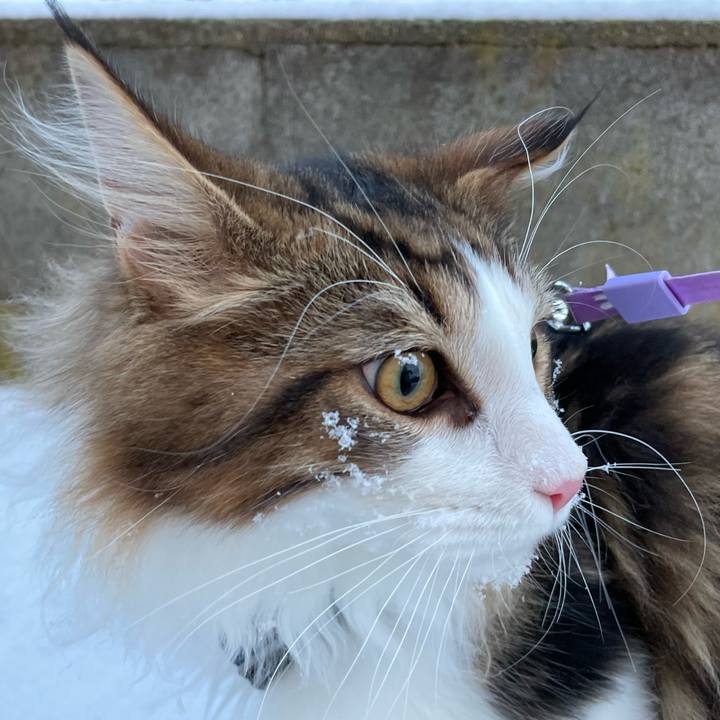 9c5b5c86 1c1c 4c26 8dca 830e1764ea02 1639867460272