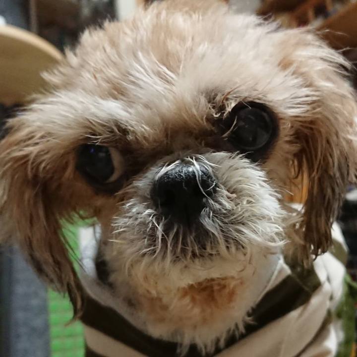 9c5b64bd 0026 4d50 b689 b12f04cad0ad 1649252771691