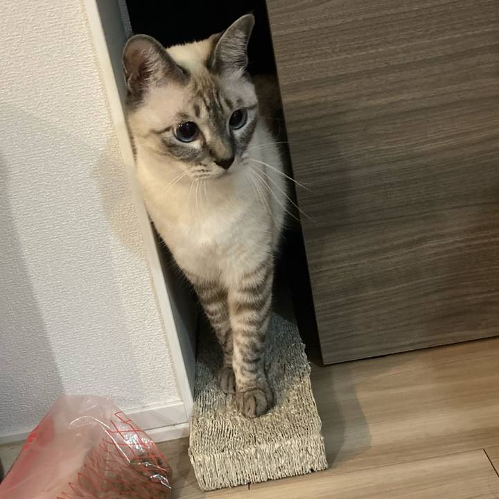 9c5c162b 5305 48c7 968a 2e5534aac0ac 1601991739187