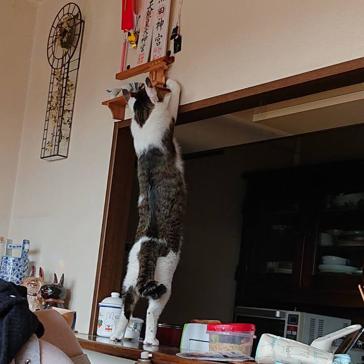 9c5c22a8 6350 4650 8d3c 22cdb79fa3eb 1607747421648