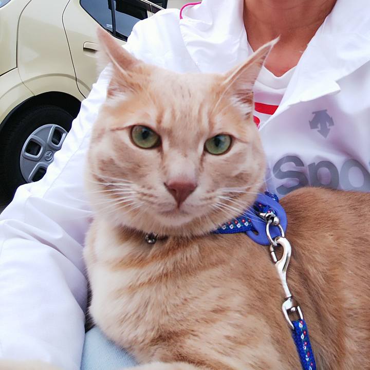 9c5c2576 5130 416d bffc b39f27065fae 1593943289537