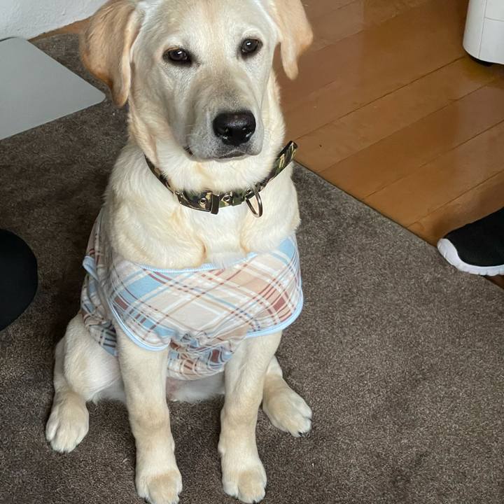 9c5c30d9 49a3 4d96 834c 64b6a3d542c4 1621037068468