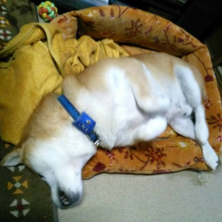 9c5c3a75 be25 4dd1 8691 99118d1256c6 1574161725958