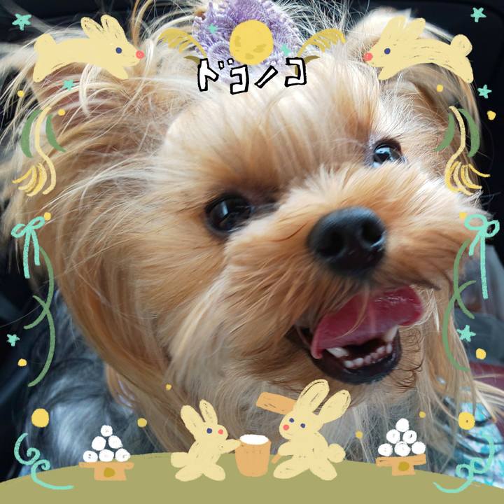 9c5c40a9 2ba9 493b 8589 aecefc7bbf10 1727396295843