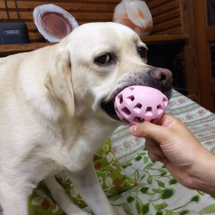 9c5c5ef9 5e8b 405f 8e17 e8a951074ec6 1531222253912