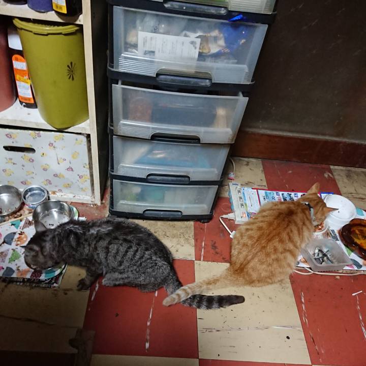 9c5c62dd 45bb 429e bc2c dd7171199309 1592767134806