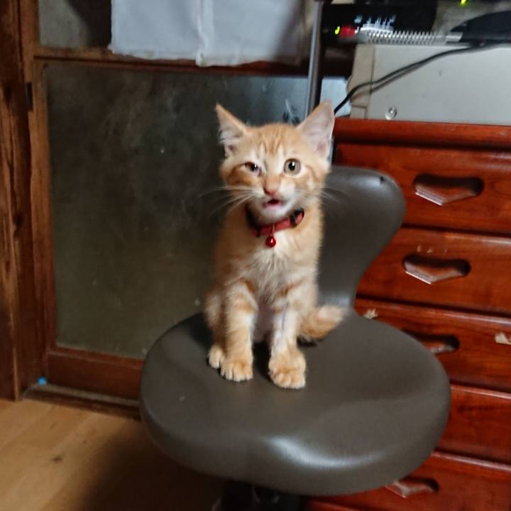 9c5ccc69 a390 46e3 a1d1 6a86c959984a 1629924672988