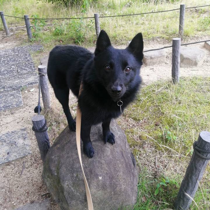 9c5d000b 4b62 438a 8c40 06ed3f9f53dc 1624657705041