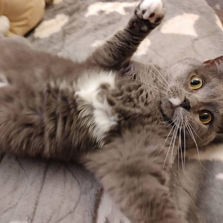 9c5d096d 39a6 4472 96f2 e97a8dab9252 1605618457528