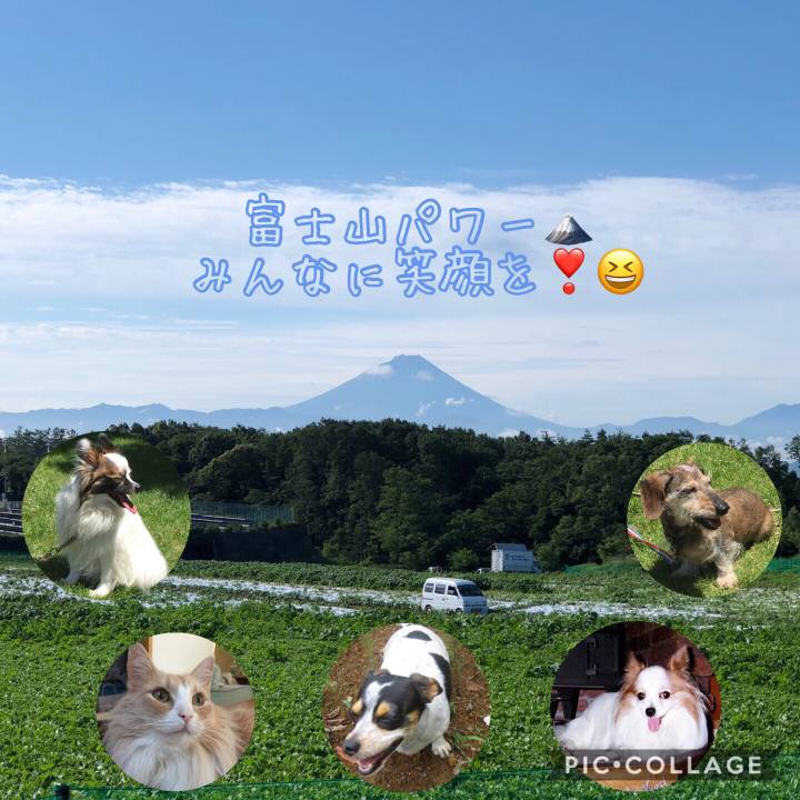 9c5d49cd d707 46b6 94f1 a0d2ea9c2af8 1529466044478