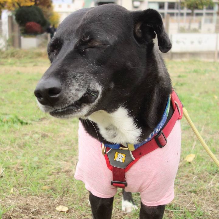 9c5d7b11 f16a 49c6 903a 2cf7ec883b0d 1670030022967