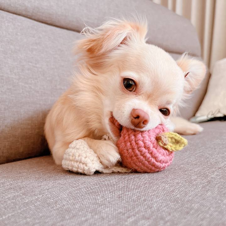 9c5de39a 5194 43f7 8ed2 d7fc81424711 1658632400573