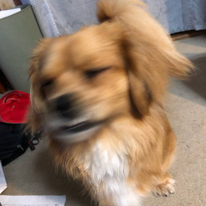 9c5deee9 db4b 4646 8832 2bbc9de08f43 1523845769783