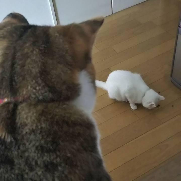 9c5dfd1d 5a25 4e25 b0f9 8e3a7111766f 1655443171913