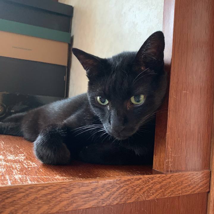 9c5ea0ab 83a0 4aab a535 ef760e9392eb 1566088791145