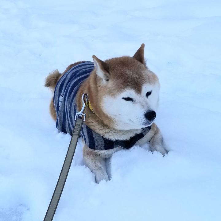 9c5ec0d0 694b 4910 af1c bc4bd0311b3d 1674446401496