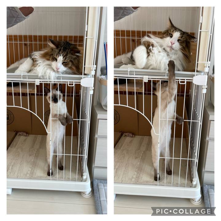 9c5ef491 8f19 4932 853a 45ef5df11b65 1691803310876