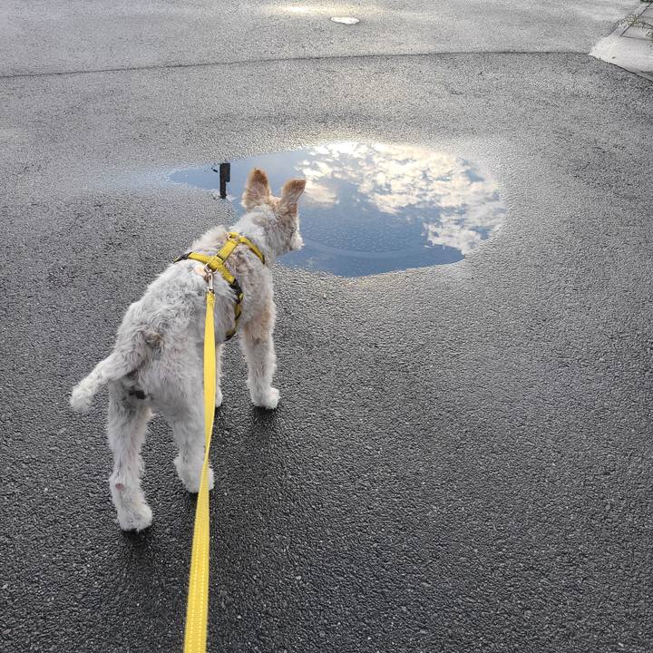 9c5efbac 91d7 4fb1 b3cf faeb867e47a3 1692230041365