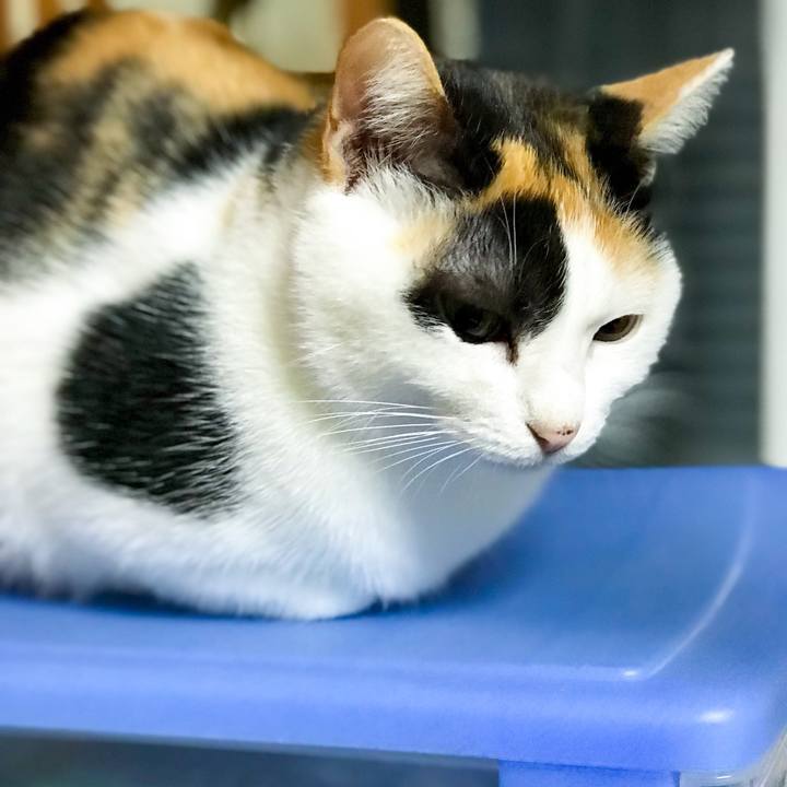 9c5f05ab abe0 4253 b934 a667f456ba1d 1511657395577