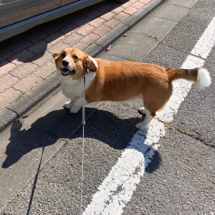 9c5f1541 91dd 4ffc 9430 1b509ee60bd7 1688983770808