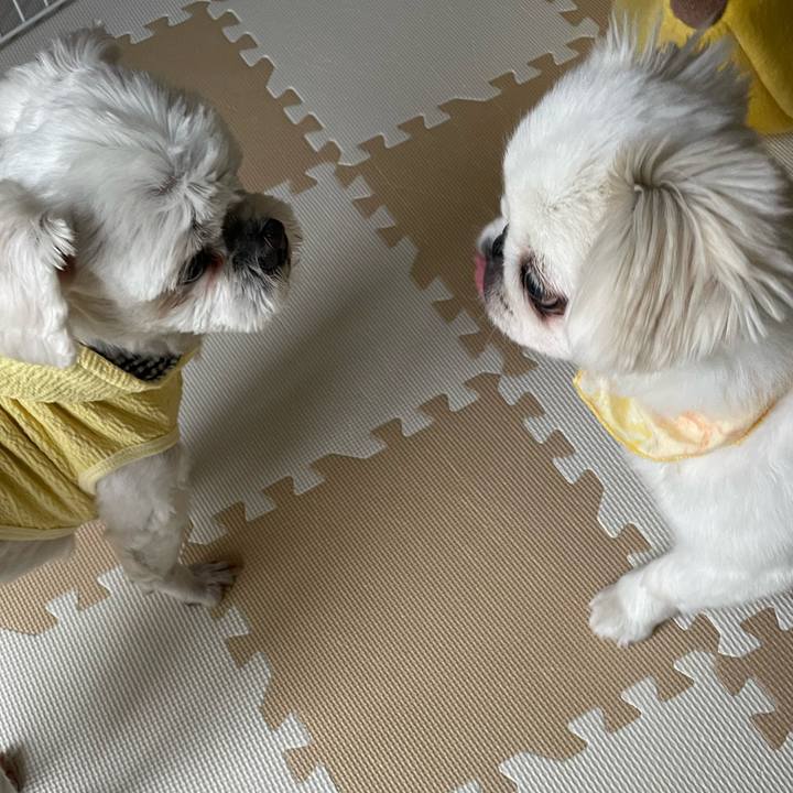 9c5f6229 a558 496e ba41 3821737557a8 1653524866599